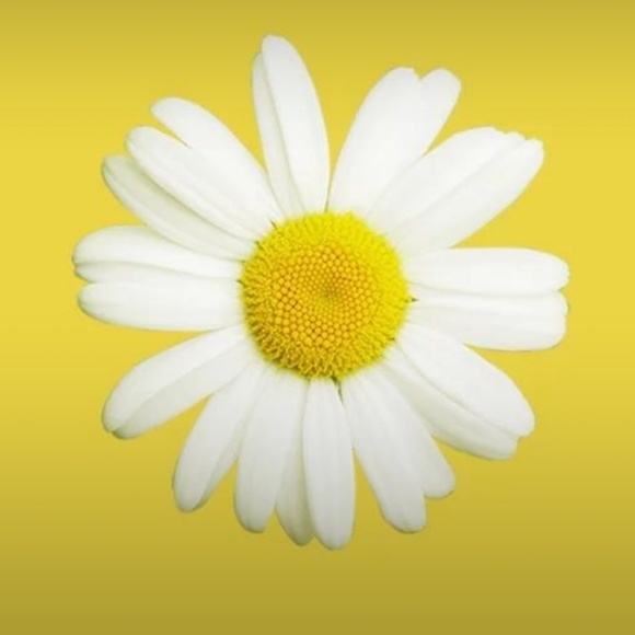 Meet your Posher, Suzana - Picture 1 of 1